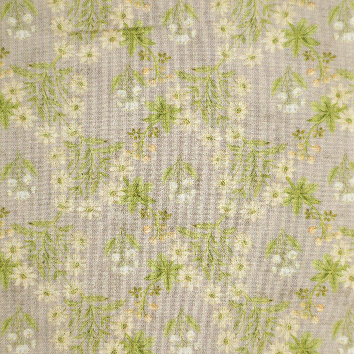 Whisper of a Flower Collection